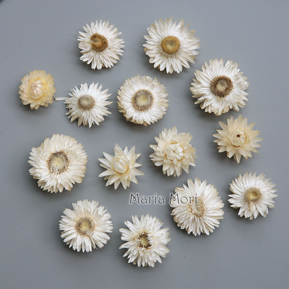 Baby Products In - เครื่องประดับผมแฮนด์เมดทำจากพวงหรีดดอกเบญจมาศสีสันสดใสทำจากวัสดุทำมือสำหรับผลิตภัณฑ์เรซินเทียนอโรมา